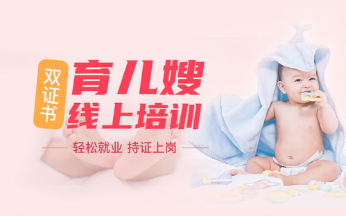 家政服務人員的分類及服務內(nèi)容概述