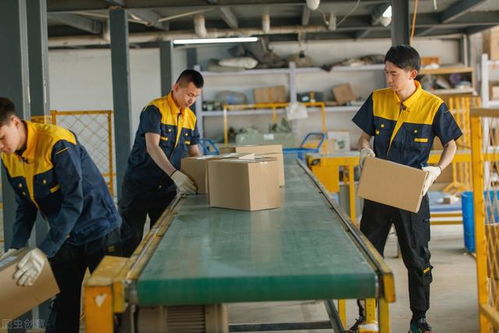 馬云預言 后疫情時代，家政服務或成新財富風口